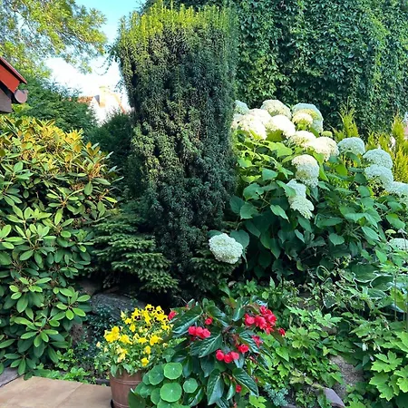 Mielno-eko Privatunterkunft