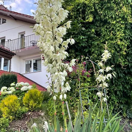 Homestay szállás Mielno-eko *