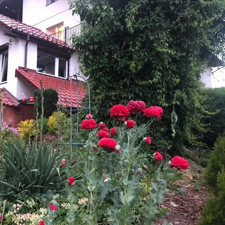 Homestay Mielno-eko *
