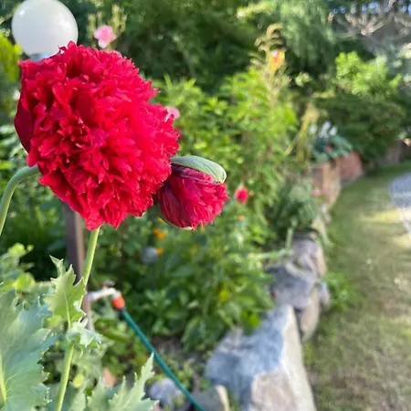 Mielno-eko Homestay szállás Mielno