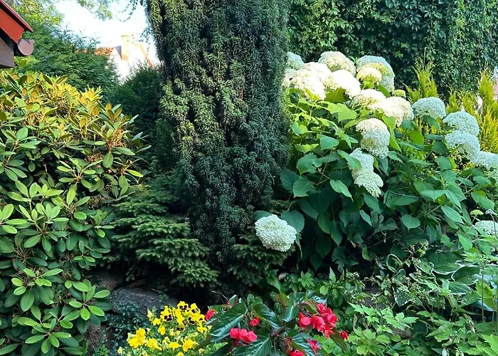 Mielno-eko Rum i privatbostad