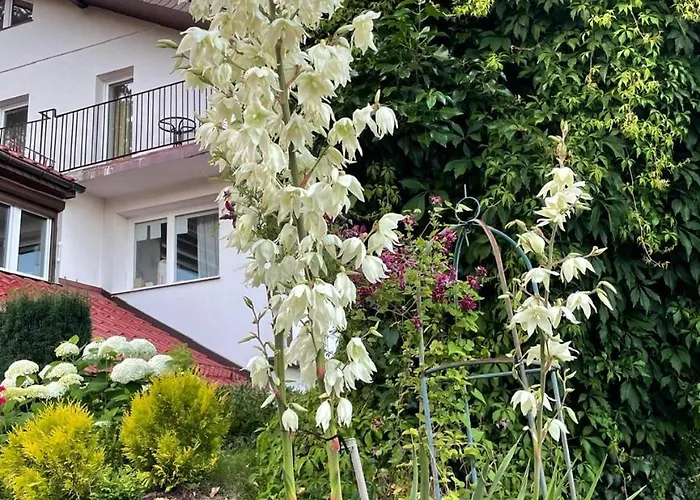 Проживание в семье Mielno-eko *