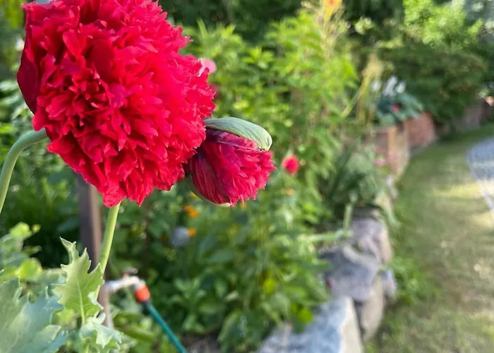 Mielno-eko Проживание в семье Мельно