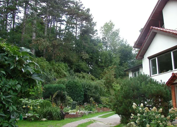 Проживание в семье Mielno-eko *