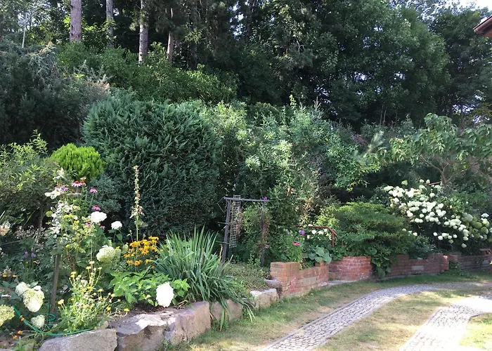 Проживание в семье Mielno-eko *